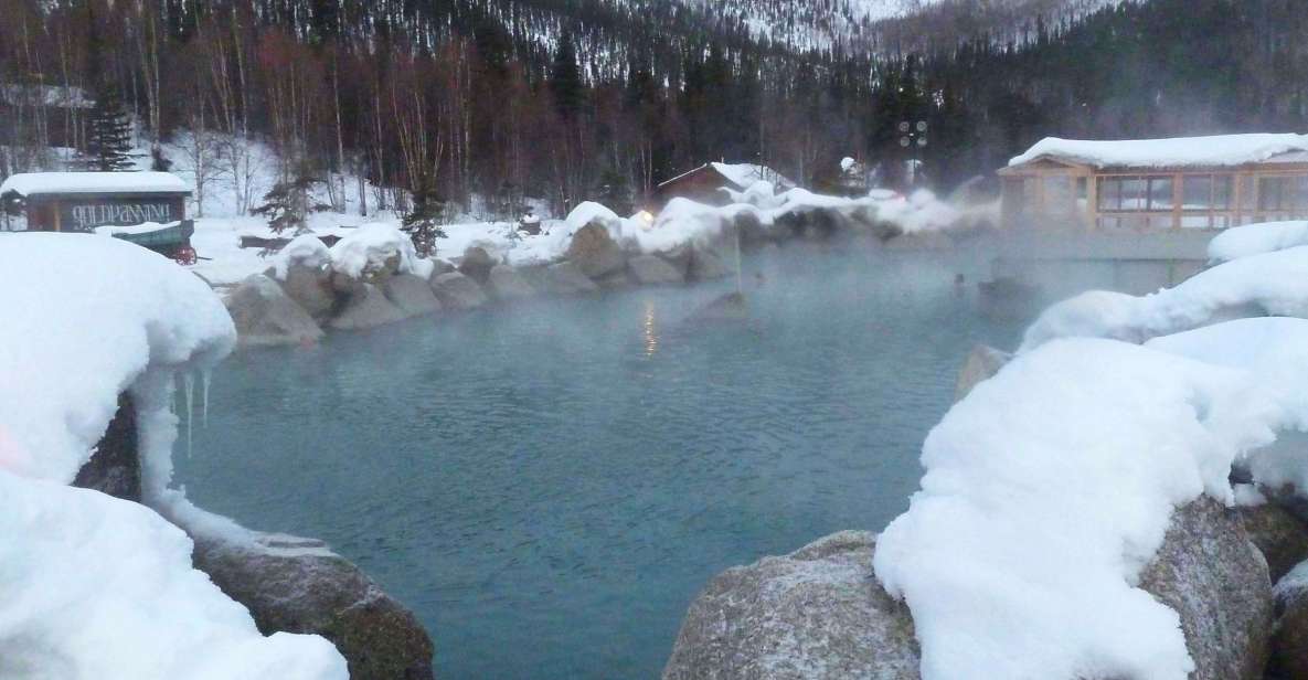 From Fairbanks: Chena Hot Springs Northern Lights Tour - Customer Ratings