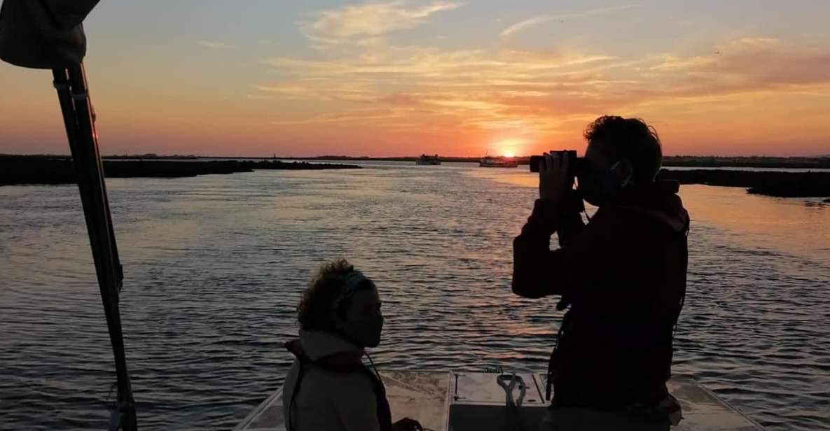From Faro: Ria Formosa Sunset Boat Trip - Experience Highlights