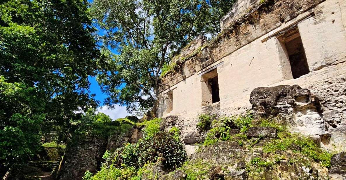 From Flores: Exclusive Tikal Group Tour - Activity Duration and Highlights