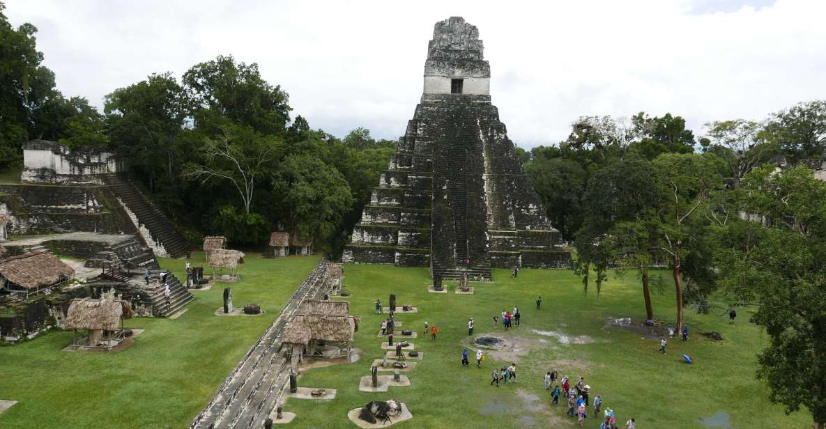 From Flores: Tikal Ruins Guided Day Trip - Activity Highlights