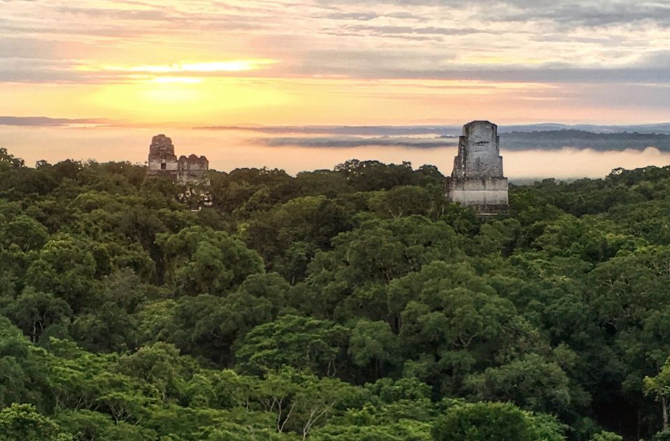 From Flores: Tikal Sunset Tour - Cancellation Policy Details