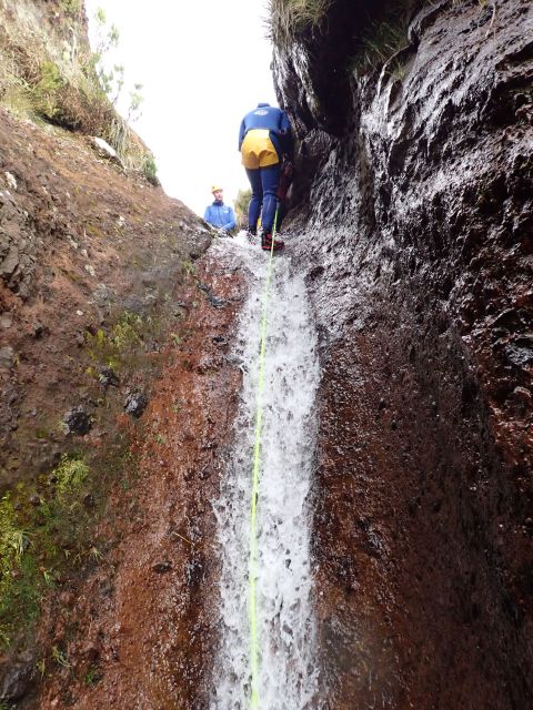 From Funchal: Madeira Island Canyoning for Beginners - Activity Highlights