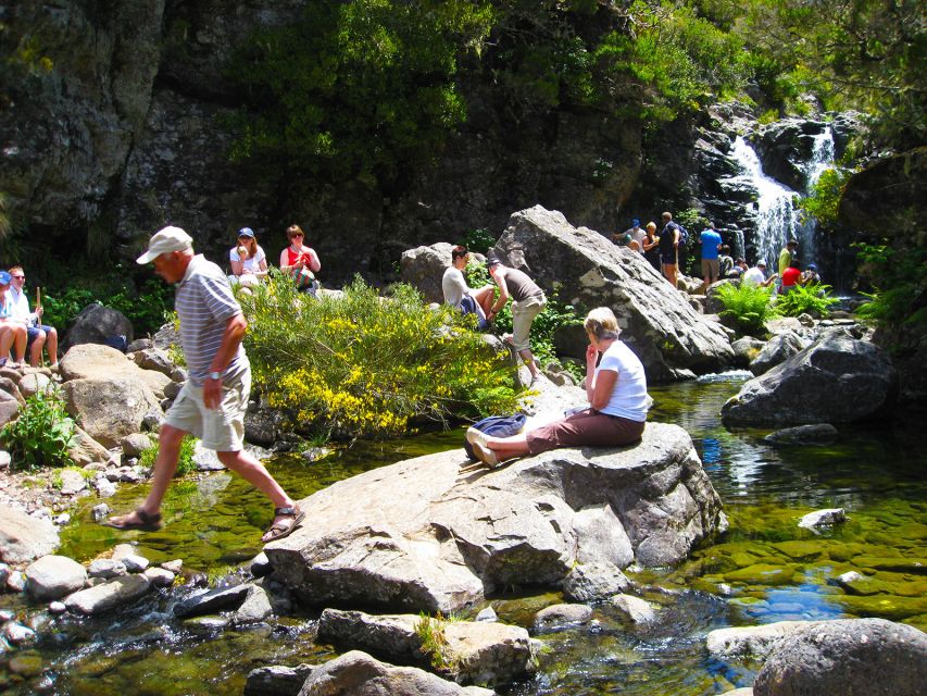 From Funchal: Madeira Lakes Levada Guided Hike - Experience Highlights