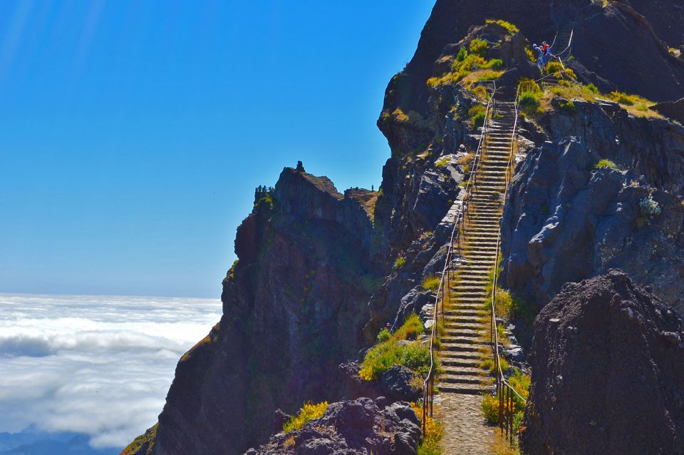 From Funchal: Madeira Peaks Mountain Walk - Activity Information for Madeira Peaks Mountain Walk