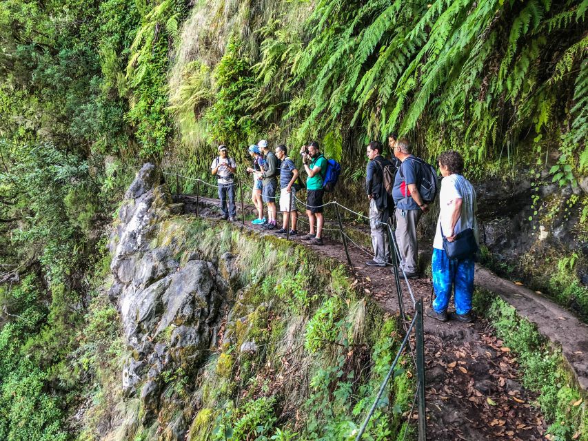 From Funchal or Caniço: Private Hiking Trip With a Local - Experience Highlights and Customization Options