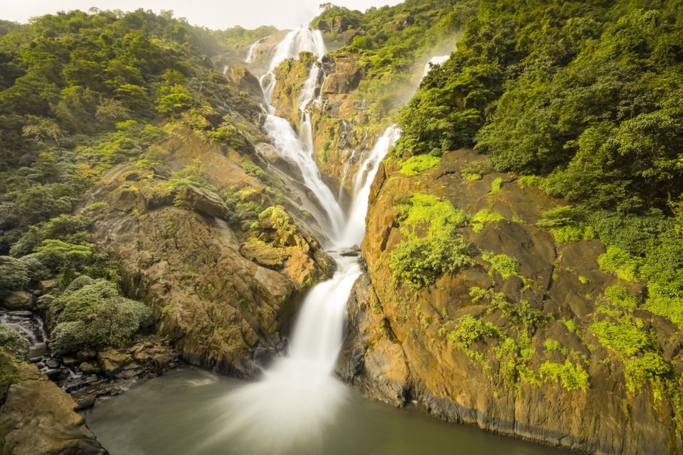 From Goa: Dudhsagar Waterfalls & Plantation Tour - Experience Highlights