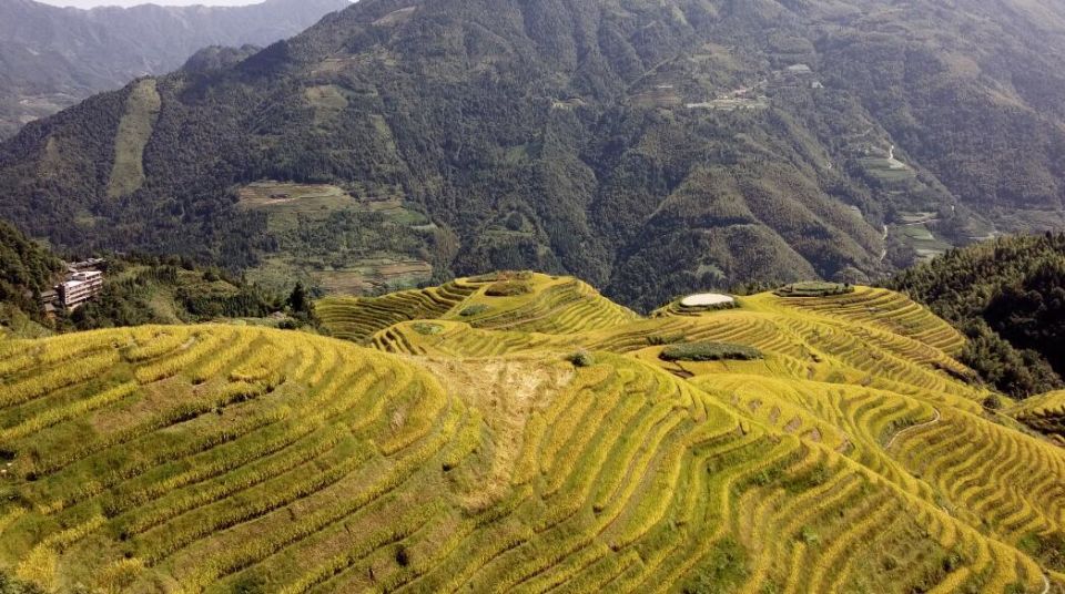 From Guilin: Longsheng Dragon's Backbone Rice Terraces - Experience Highlights