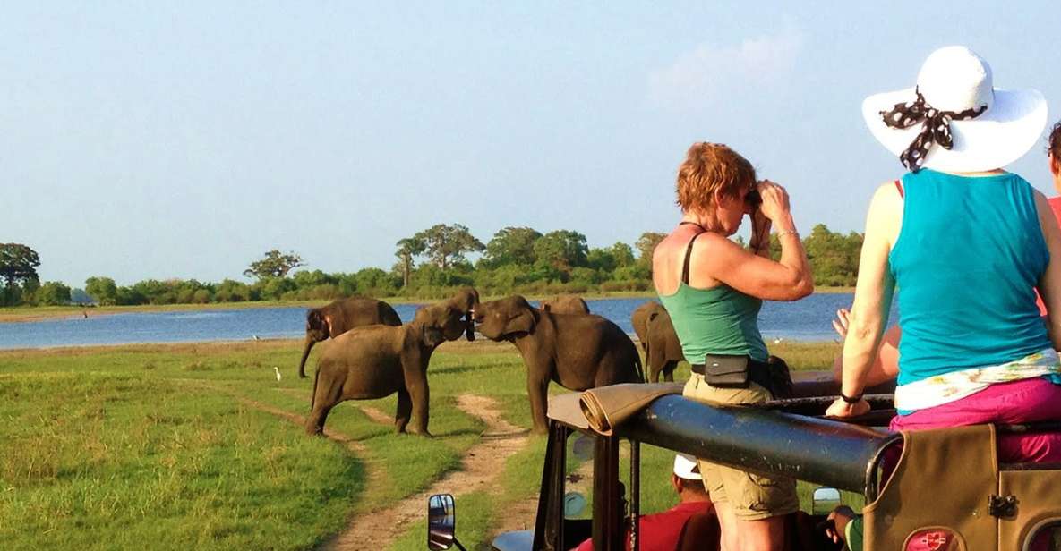 From Hikkaduwa: Udawalawe National Park Safari Tour - Experience Highlights