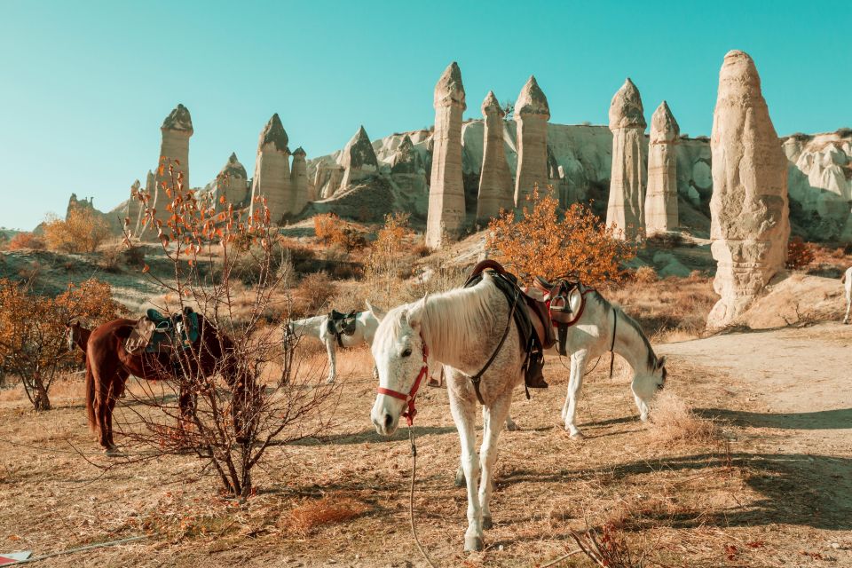 From Istanbul: All Inclusive Private Day Trip to Cappadocia - Tour Highlights