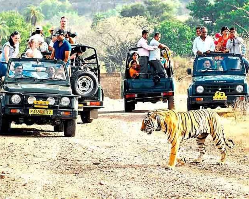 From Jaipur: Guided Ranthambore Tour With Cab - Tour Highlights