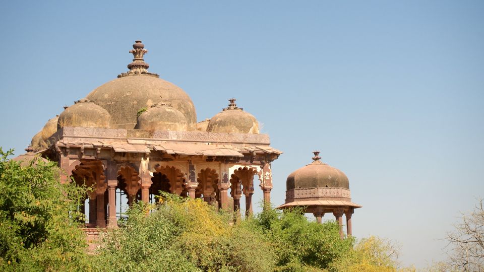 From Jaipur:Ultimate Jaipur to Ranthambore Jeep Safari Tour - Experience Highlights