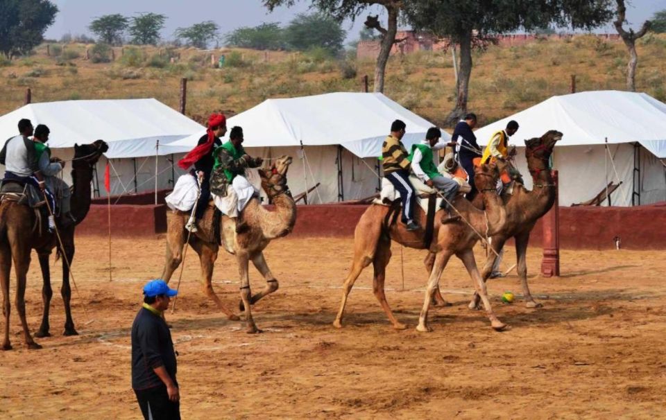 From Jaisalmer : Overnight Stay Under Stars WithCamel Safari - Duration and Accommodation Information