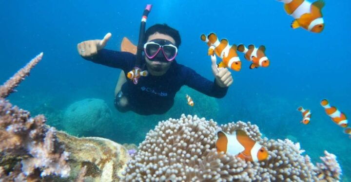 From Jepara: Karimunjawa Archipelago 3-Day Snorkeling Tour - Experience Highlights