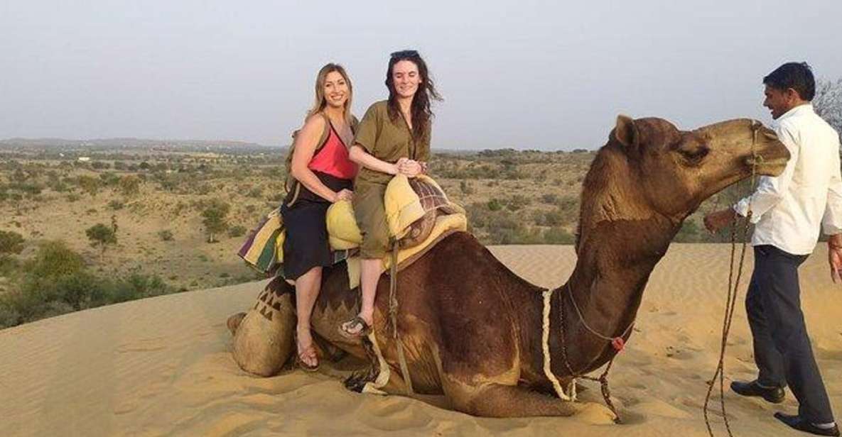 From Jodhpur : Camel Safari , Buffet Dinner Folk Dance - Experience Highlights