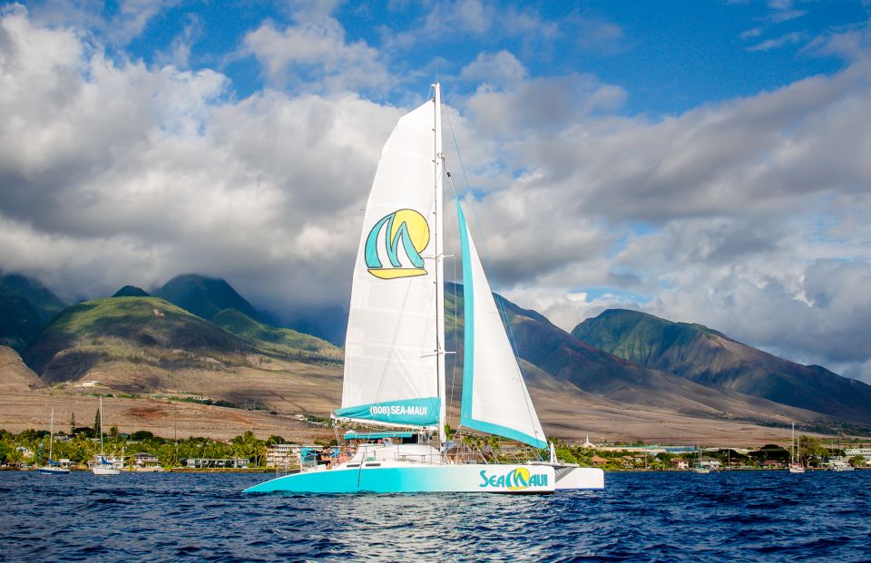 From Kaanapali: Afternoon West Maui Snorkeling & Sea Turtles - Experience Highlights