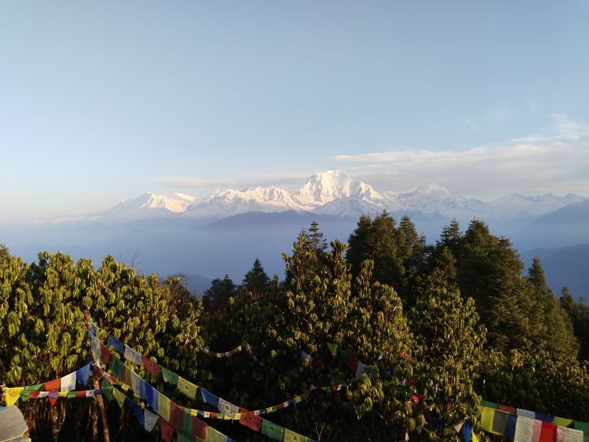 From Kathmandu: 7 Nights 8 Days Poon Hill Trek - Activity Information
