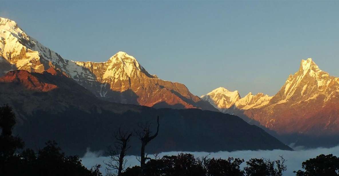 From Kathmandu Buget: 7 Day Mulde View Point & Poonhill Trek - Experience Highlights