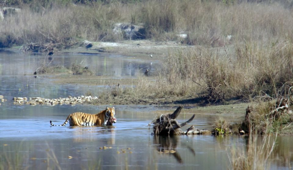 From Kathmandu: Guided 3-Days Bardia National Park Tour - Tour Highlights