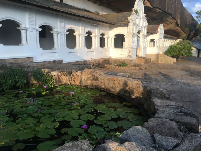From Katunayake Airport: 8-Day Beauty of Sri Lanka Tour - Key Points