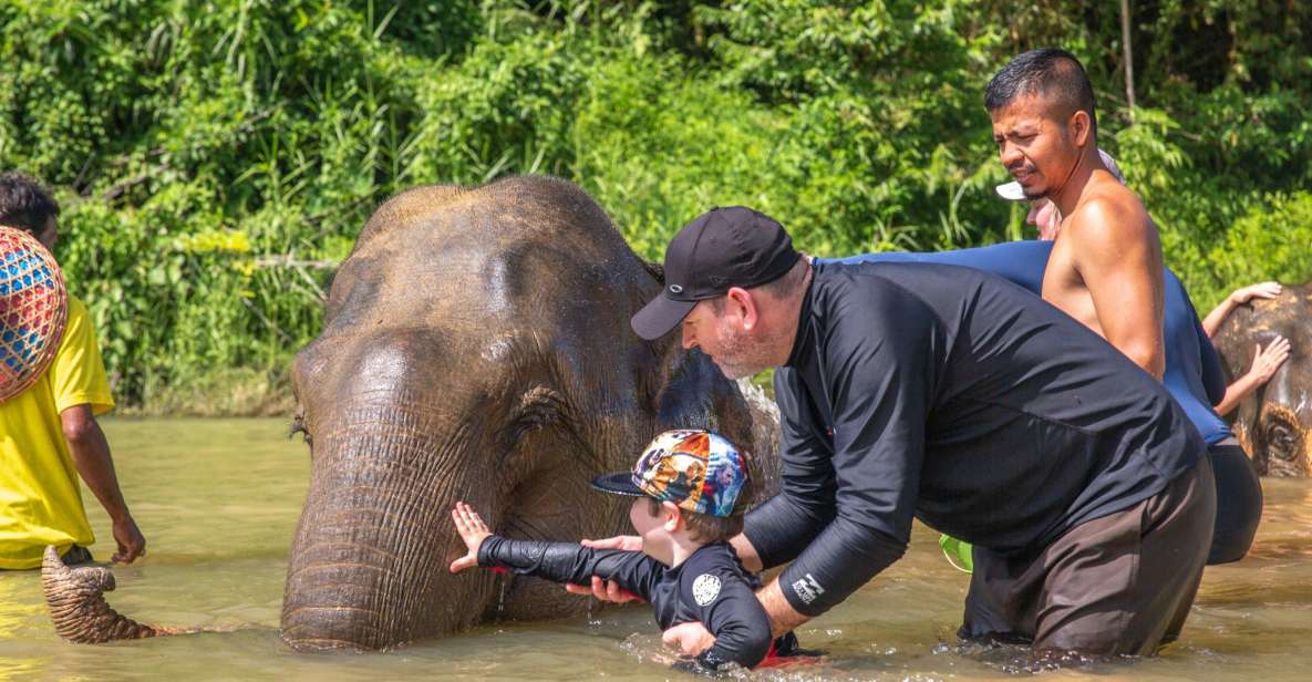 From Khao Lak: Day Trip to Khao Sok With Elephant Camp Visit - Small Group Experience Details