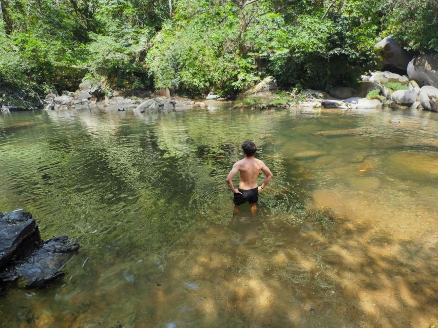 From Khao Lak: Khao Sok Jungle Hike & River Tour - Activity Details