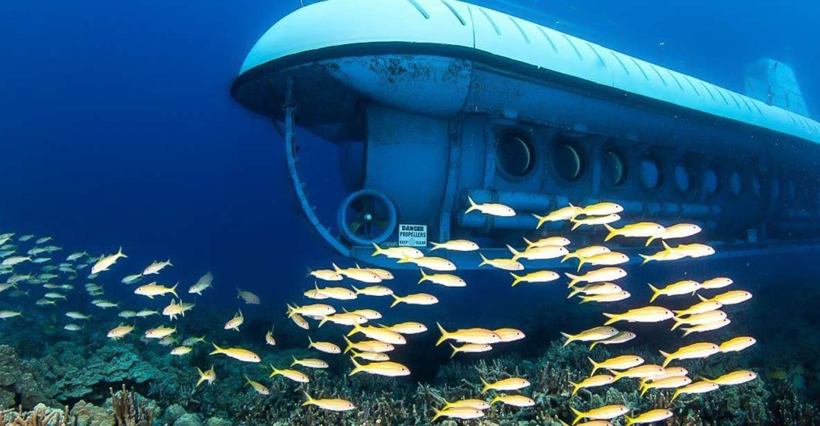 From Kona: Big Island Underwater Submarine Adventure - Participant Information