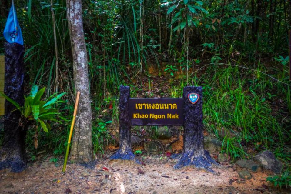 From Krabi: Khao Ngon Nak Trekking Experience - Experience Highlights