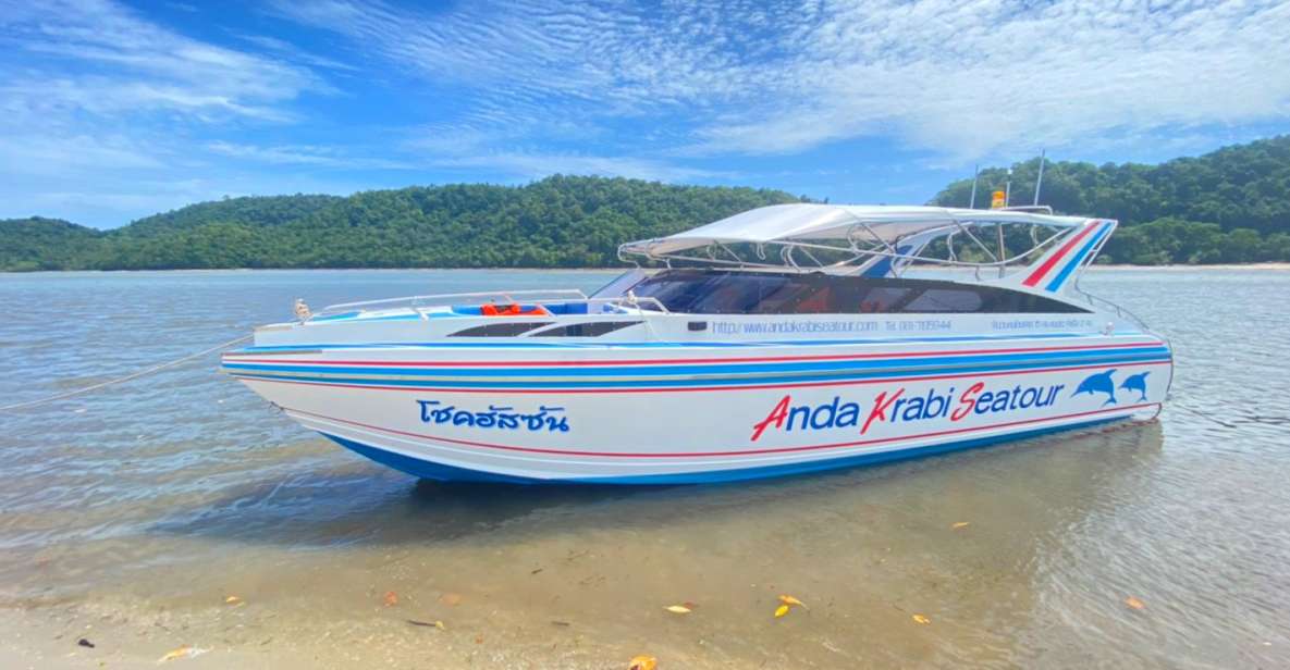 From Krabi: Phi Phi Island Full-Day Private Speed Boat Tour - Experience Highlights