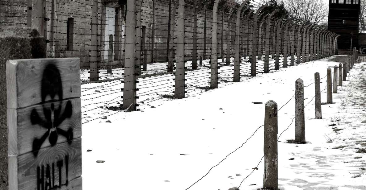 From Krakow: Auschwitz-Birkenau and Wieliczka Salt Mine Tour - Skip-the-Line Access and Live Guide