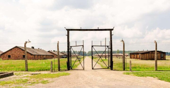 From Krakow: Auschwitz-Birkenau Tour With Transportation - Language Options and Itinerary