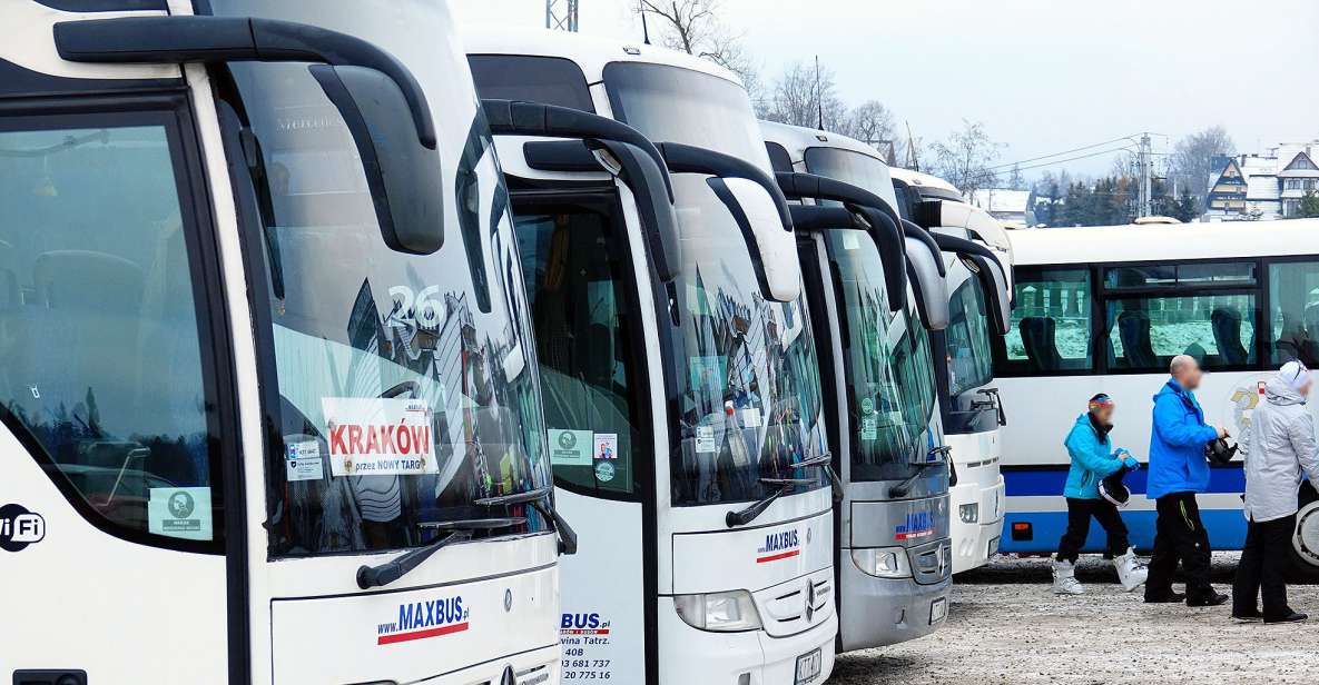 From Krakow: Bus Transfer To/From Zakopane - Transportation Experience