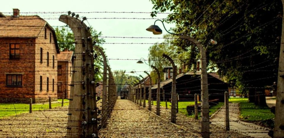 From Krakow: Guided Auschwitz-Birkenau Group Tour by Minivan - Live Guided Tour Experience