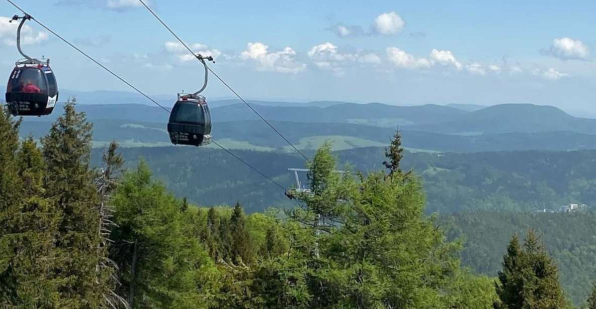 From Krakow: Krynica Zdrój & Mountain Tour With Rooftop Walk - Activity Highlights