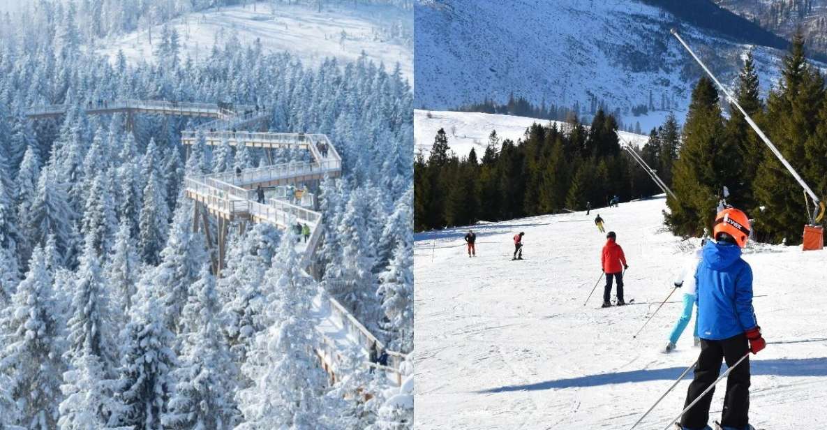 From Kraków: Slovakia Treetop Walk & 4-Hour Ski Pass - Experience Highlights