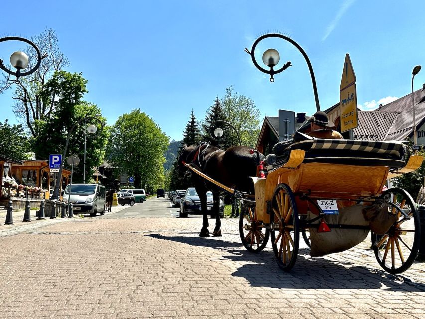 From Krakow: Zakopane & Thermal Bath Shared/Private Day Trip - Customer Reviews