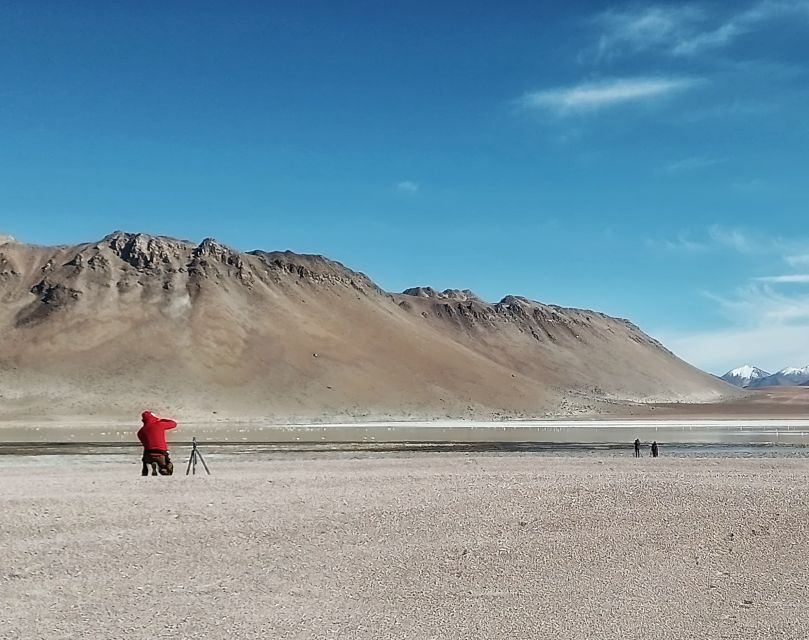 From La Paz: Uyuni Salt Flats and Red Lagoon by Bus - Experience and Activities