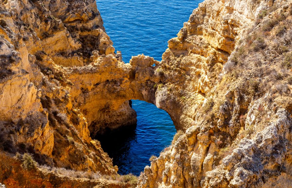 From Lagos: Cruise to the Caves of Ponta Da Piedade - Experience Highlights