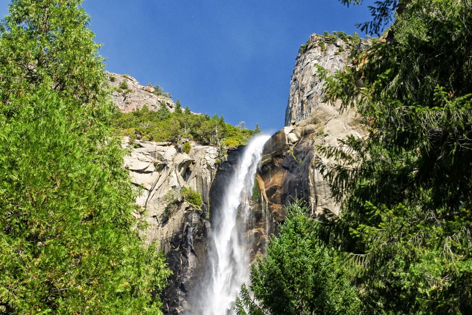 From Lake Tahoe: Yosemite National Park Day Trip With Lunch - Experience and Inclusions