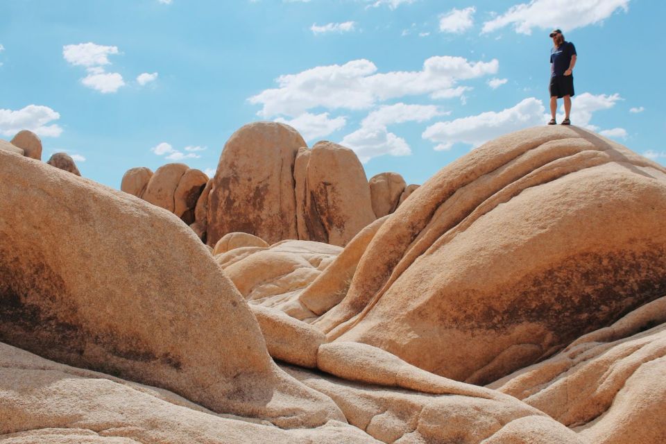 From Las Vegas: 4-Day Hiking and Camping in Joshua Tree - Itinerary
