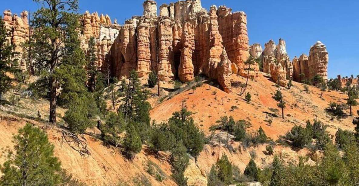 From Las Vegas: Private Tour to Zion National Park - Experience Highlights