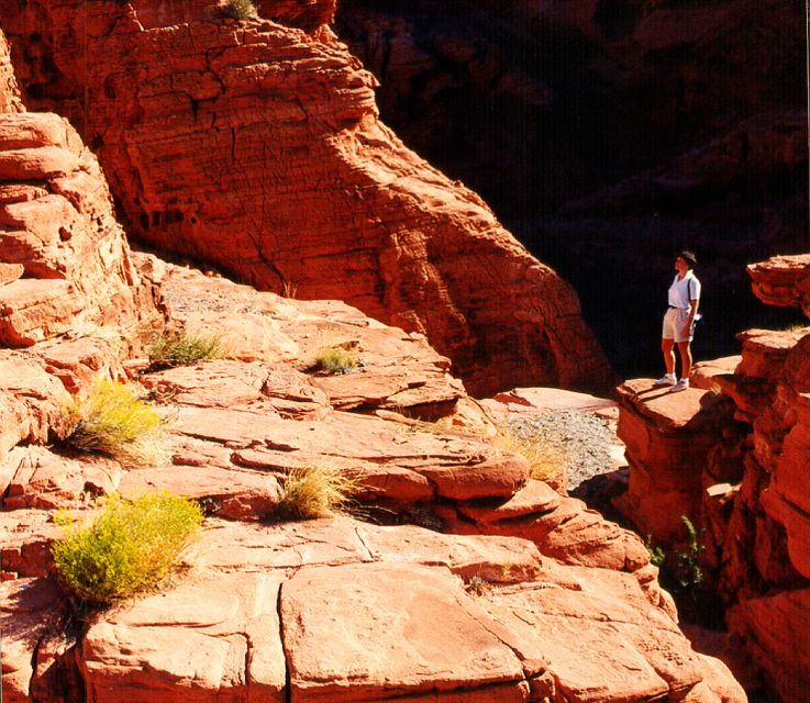 From Las Vegas: Valley of Fire Tour - Experience Highlights