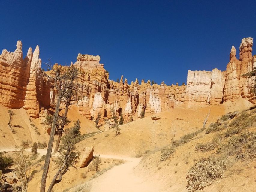 From Las Vegas: Zion and Bryce Canyon Guided Day Tour - Experience Highlights