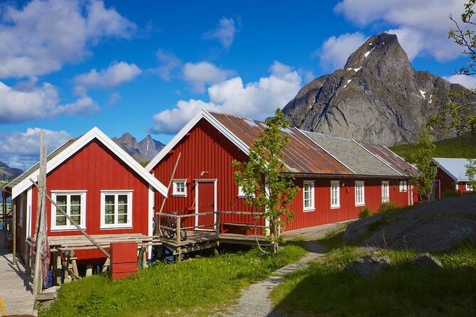 From Leknes Port: Special Summer Guided Tour of Lofoten - Booking Information and Requirements
