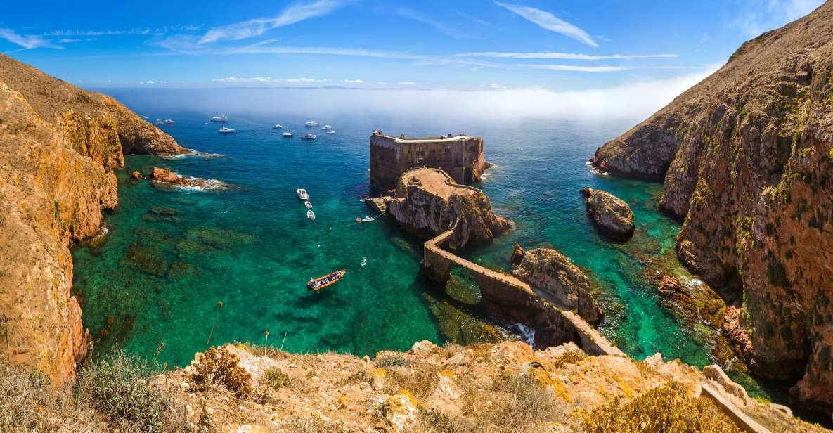 From Lisbon: Berlenga Grande Island Private Tour - Pickup and Transportation Details