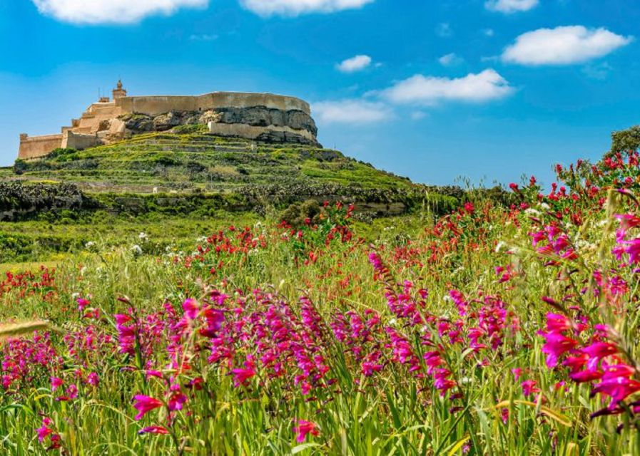 From Malta: Gozo Full-Day Tour With Guide, Temples, & Train - Planned Activities and Sightseeing