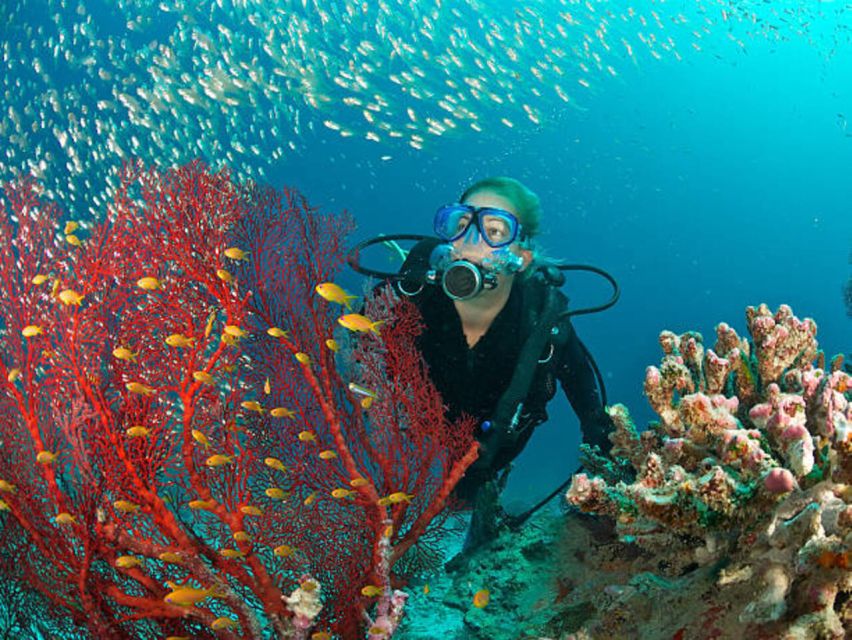 From Marsa Alam: Beginners Scuba Diving Day-Trip With Lunch - Skip the Line Access and Pickup