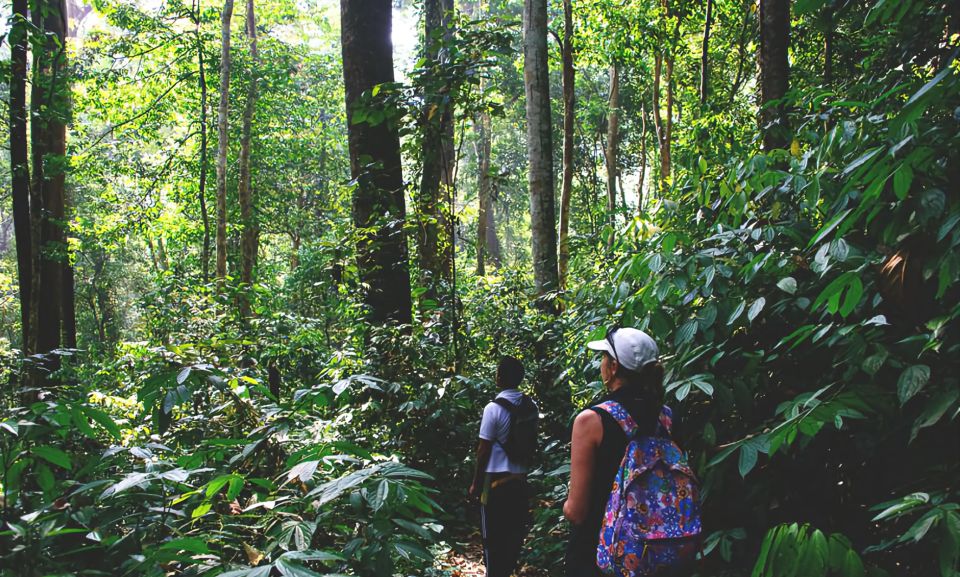 From Medan: Mount Leuser National Park Full-Day Trip - Experience Highlights in the Park