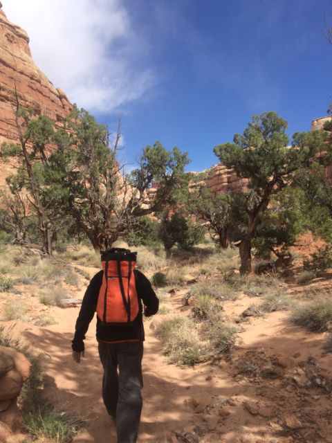 From Moab: 1-Day Horseshoe Canyon Exploration - Booking Information