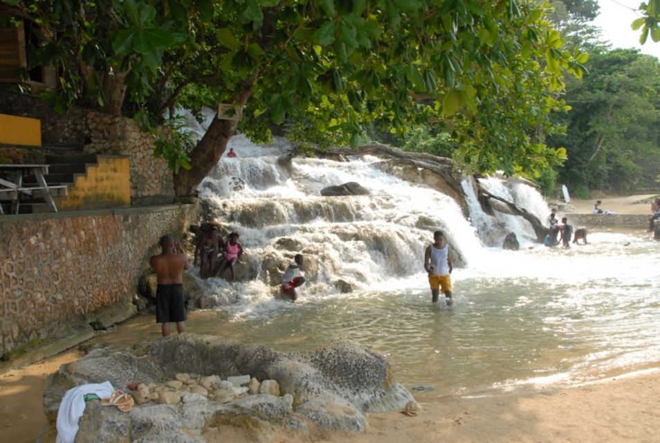 From Montego Bay: Dunn's River Falls Tour With Transfers - Small Group Experience With Live Guide