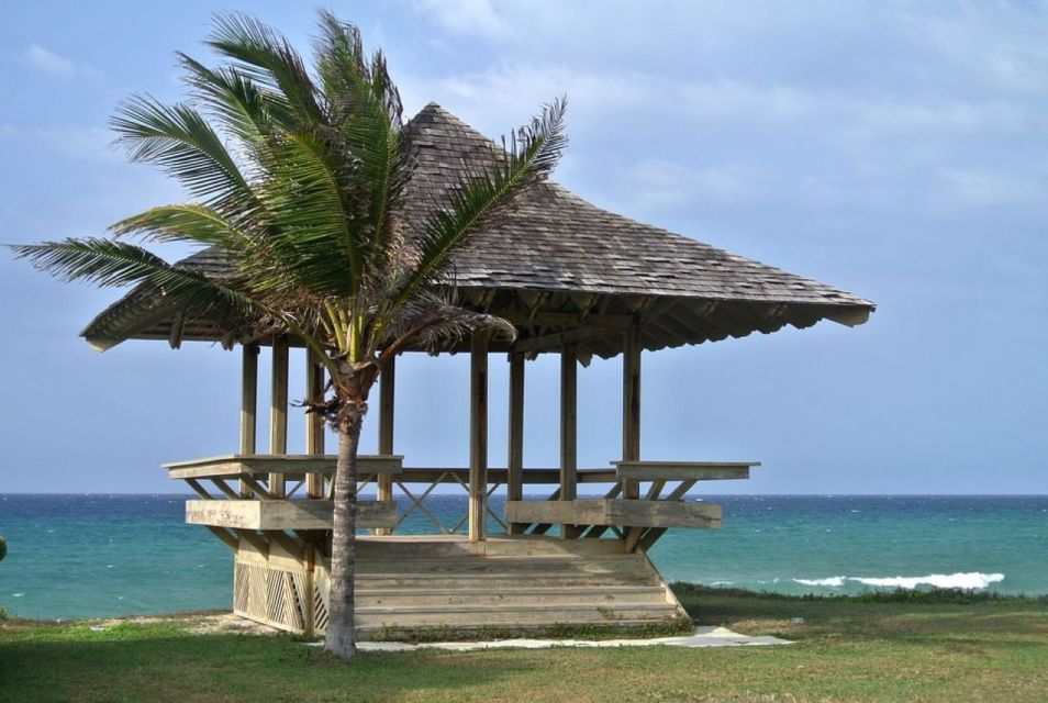 From Montego Bay: Negril Beach Private Day Trip W/ Transfers - Experience
